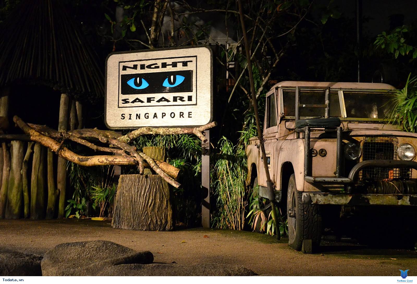 Kinh Nghiệm Du Lịch Đến Night Safari - Ảnh 1