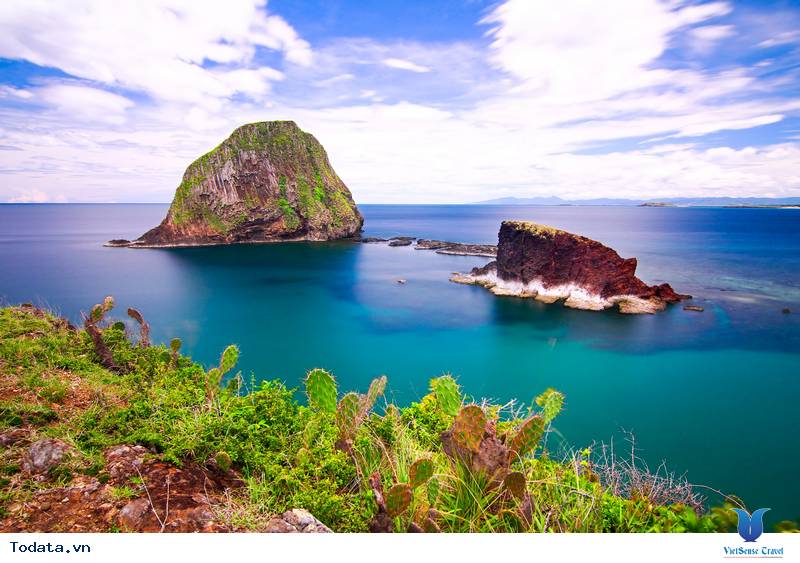 Kinh Nghiệm Du Lịch Phú Yên Mùa Hè Từ A - Z - Ảnh 15 Kinh Nghiệm Du Lịch Phú Yên Mùa Hè Từ A - Z - Ảnh 15