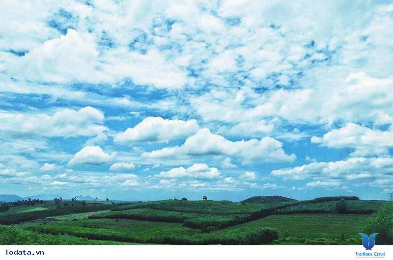 Kinh Nghiệm Du Lịch Phú Yên Mùa Hè Từ A - Z - Ảnh 20 Kinh Nghiệm Du Lịch Phú Yên Mùa Hè Từ A - Z - Ảnh 20