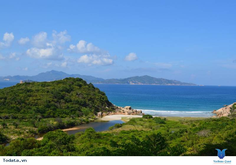 Kinh Nghiệm Du Lịch Phú Yên Mùa Hè Từ A - Z - Ảnh 14 Kinh Nghiệm Du Lịch Phú Yên Mùa Hè Từ A - Z - Ảnh 14