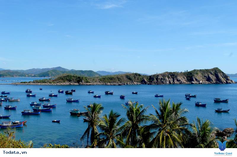 Kinh Nghiệm Du Lịch Phú Yên Mùa Hè Từ A - Z - Ảnh 18 Kinh Nghiệm Du Lịch Phú Yên Mùa Hè Từ A - Z - Ảnh 18