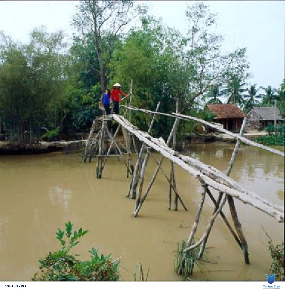 Kinh nghiệm mua vé, đi đường ở cù lao Thới Sơn - Ảnh 2 Kinh nghiệm mua vé, đi đường ở cù lao Thới Sơn - Ảnh 2