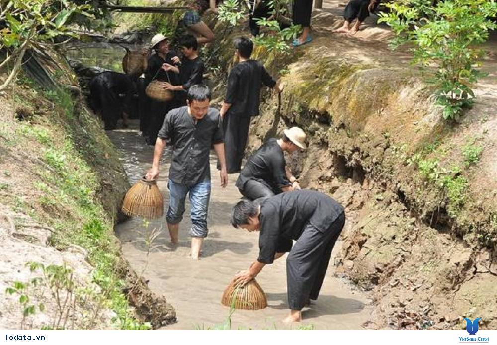 Kinh nghiệm mua vé, đi đường ở cù lao Thới Sơn - Ảnh 1 Kinh nghiệm mua vé, đi đường ở cù lao Thới Sơn - Ảnh 1
