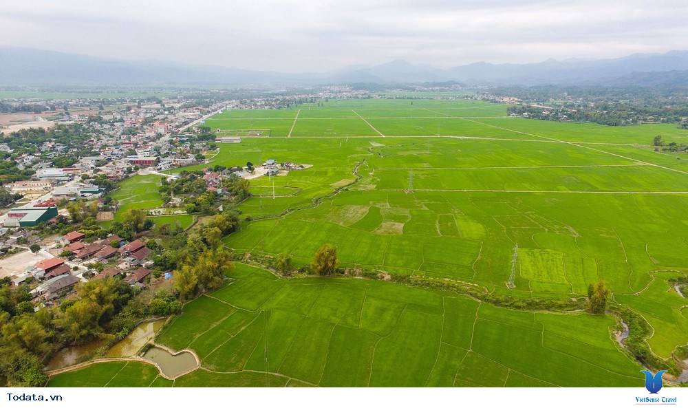 Lạc Bước Trên Cánh Đồng Mường Thanh - Ảnh 9 Lạc Bước Trên Cánh Đồng Mường Thanh - Ảnh 9