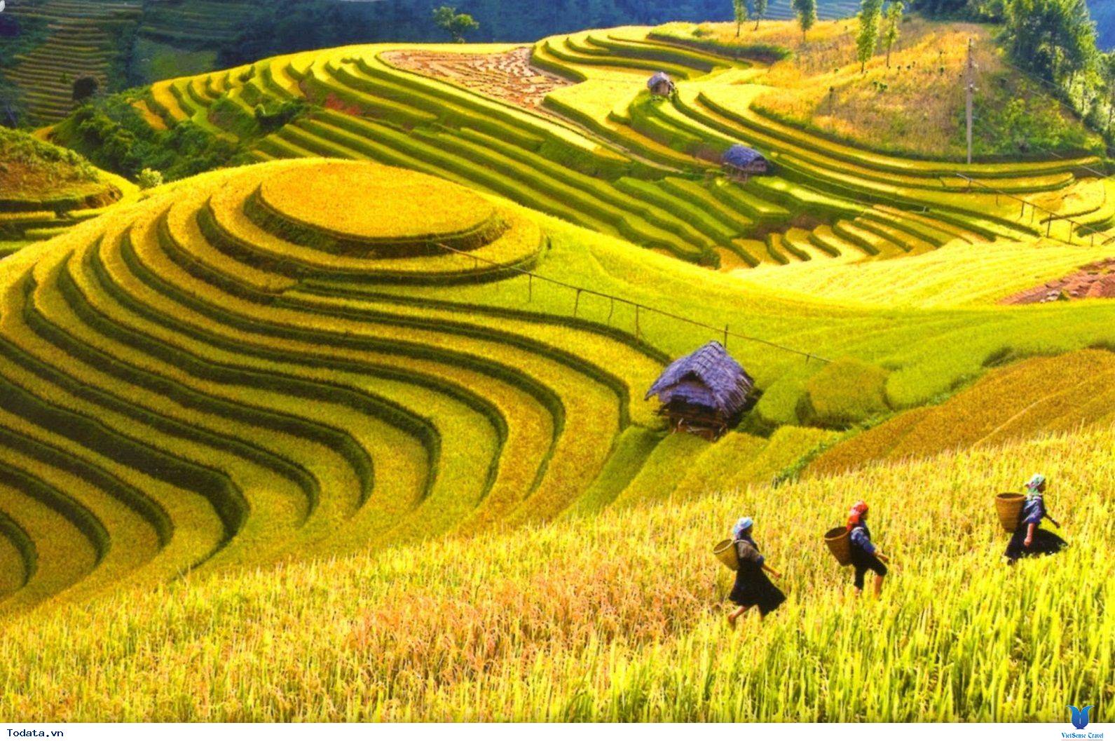 Thời điểm lý tưởng để hành trình - Ảnh 1 Thời điểm lý tưởng để hành trình - Ảnh 1