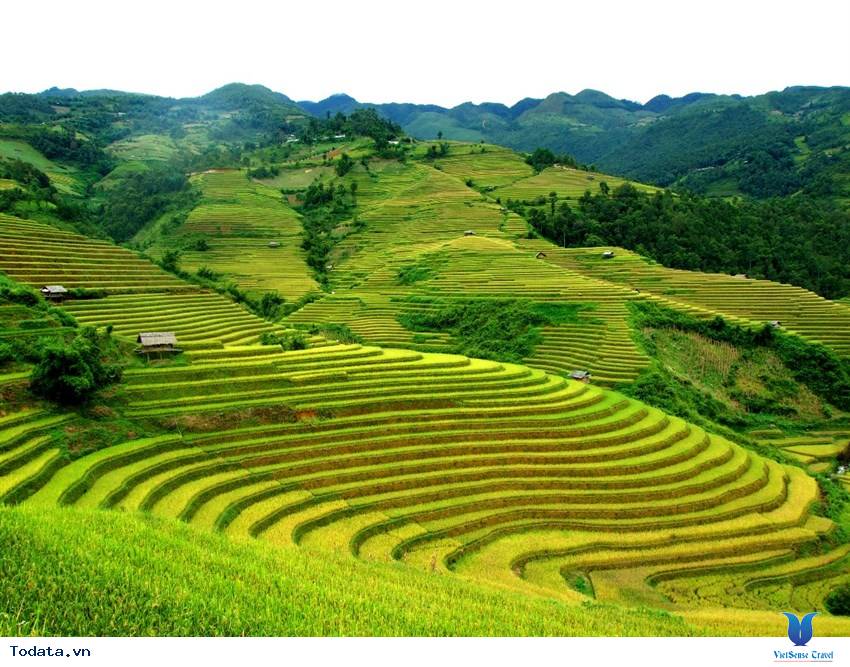 Cánh đồng Mường Thanh Cánh đồng Mường Thanh