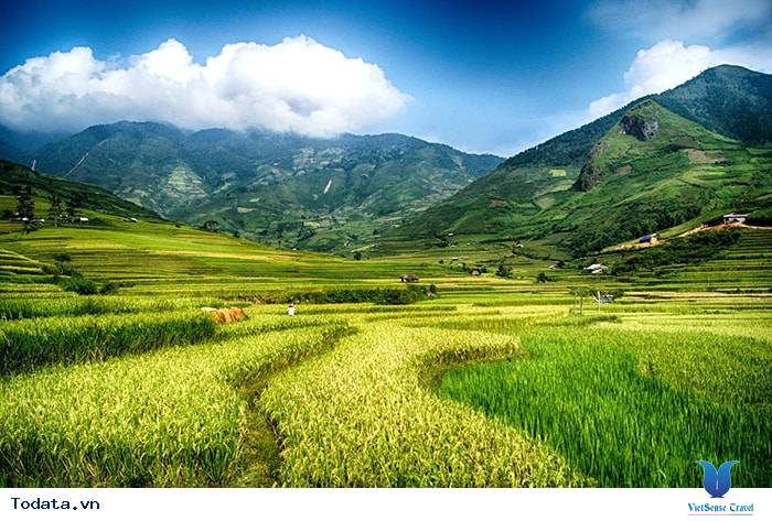 Lạc Bước Trên Cánh Đồng Mường Thanh - Ảnh 8 Lạc Bước Trên Cánh Đồng Mường Thanh - Ảnh 8