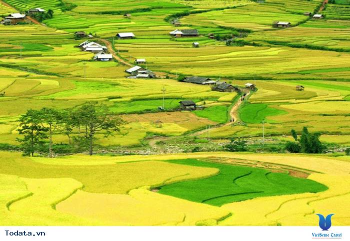 Lạc Bước Trên Cánh Đồng Mường Thanh - Ảnh 6 Lạc Bước Trên Cánh Đồng Mường Thanh - Ảnh 6