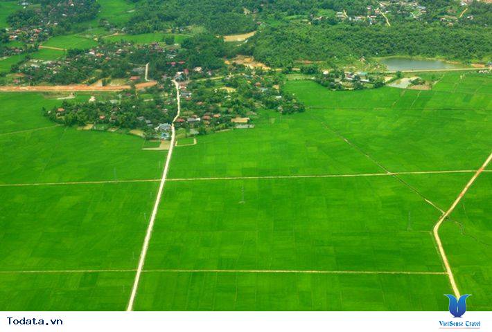 Lạc Bước Trên Cánh Đồng Mường Thanh - Ảnh 11 Lạc Bước Trên Cánh Đồng Mường Thanh - Ảnh 11