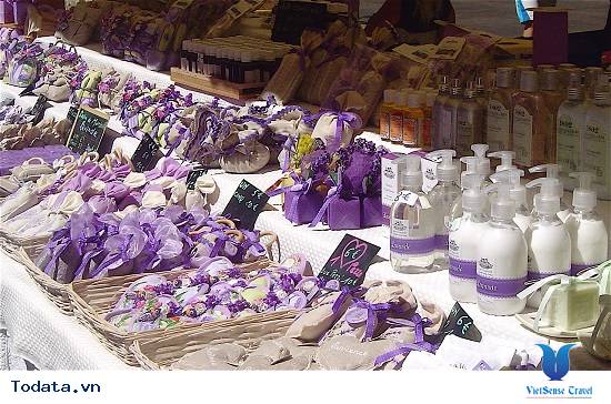 Lạc Lối Giữa Cánh Đồng Lavender Đà Lạt - Ảnh 12 Lạc Lối Giữa Cánh Đồng Lavender Đà Lạt - Ảnh 12