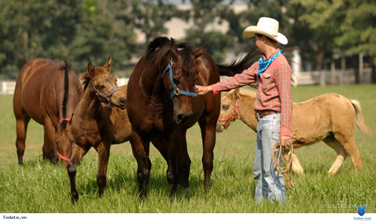 Lạc vào chốn yên bình Khao Yai của thiên đường du lịch Thái Lan - Ảnh 3 Lạc vào chốn yên bình Khao Yai của thiên đường du lịch Thái Lan - Ảnh 3