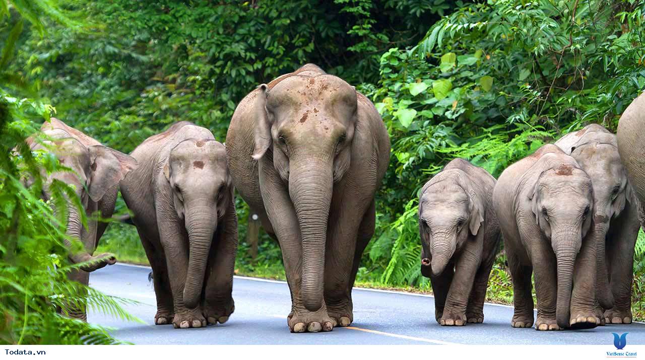 Lạc vào chốn yên bình Khao Yai của thiên đường du lịch Thái Lan - Ảnh 1 Lạc vào chốn yên bình Khao Yai của thiên đường du lịch Thái Lan - Ảnh 1