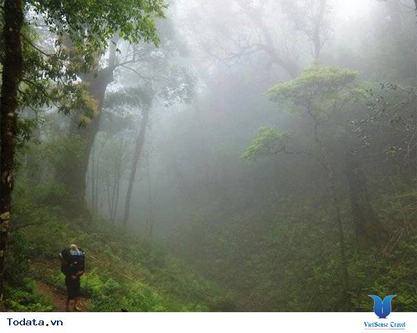 Làm Thế Nào Để Chinh Phục Đỉnh Fansipan Dễ Dàng Nhất? - Ảnh 6