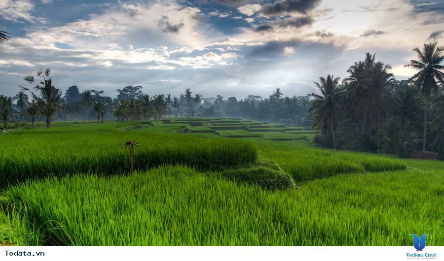 Lang thang vào miền đất Ubud - Ảnh 1 Lang thang vào miền đất Ubud - Ảnh 1