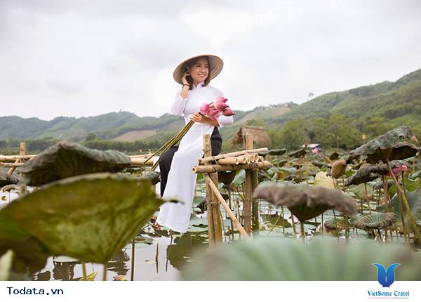 Lào Cai: Yên bình mùa sen - Ảnh 4