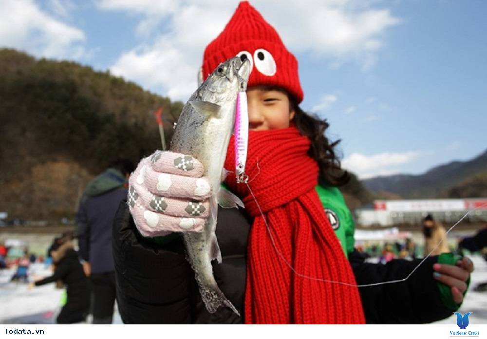 Lễ hội bắt cá hồi trên băng Sancheoneo Hwacheon - Ảnh 1