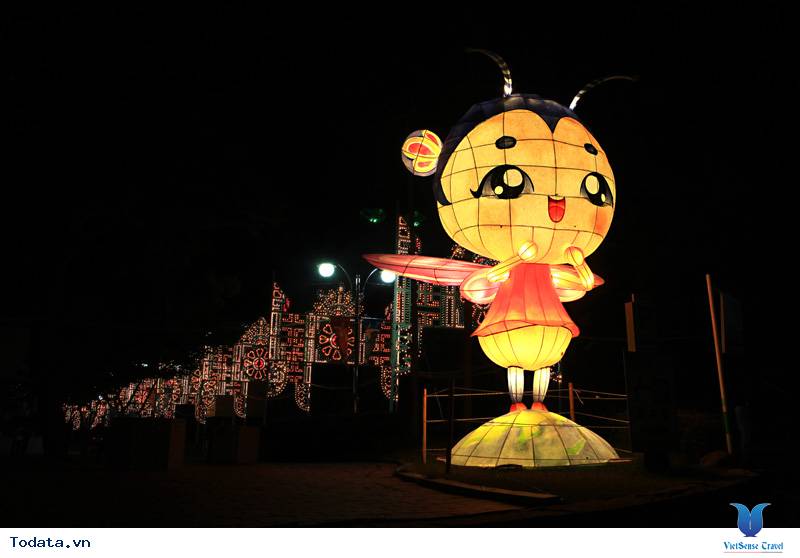 Lễ hội đom đóm Muju đẹp lung linh, huyền ảo - Ảnh 1