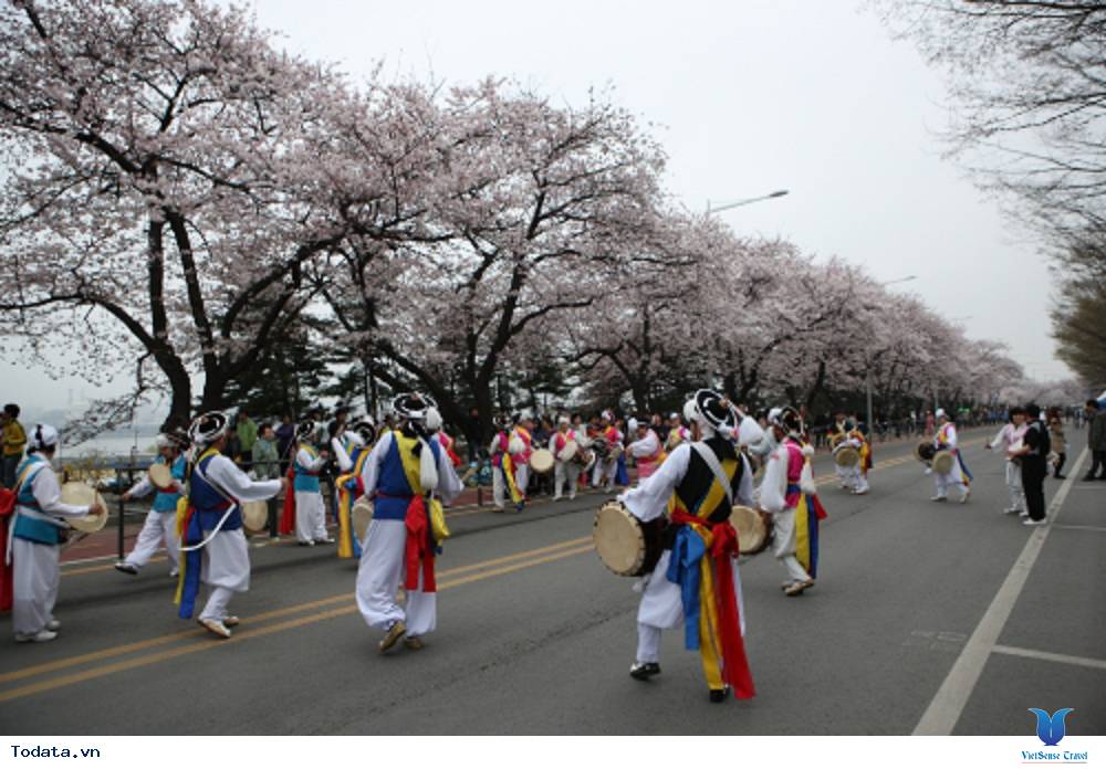 Lễ hội hoa anh đào mong đợi nhất vào mùa xuân ở Hàn Quốc - Ảnh 2 Lễ hội hoa anh đào mong đợi nhất vào mùa xuân ở Hàn Quốc - Ảnh 2