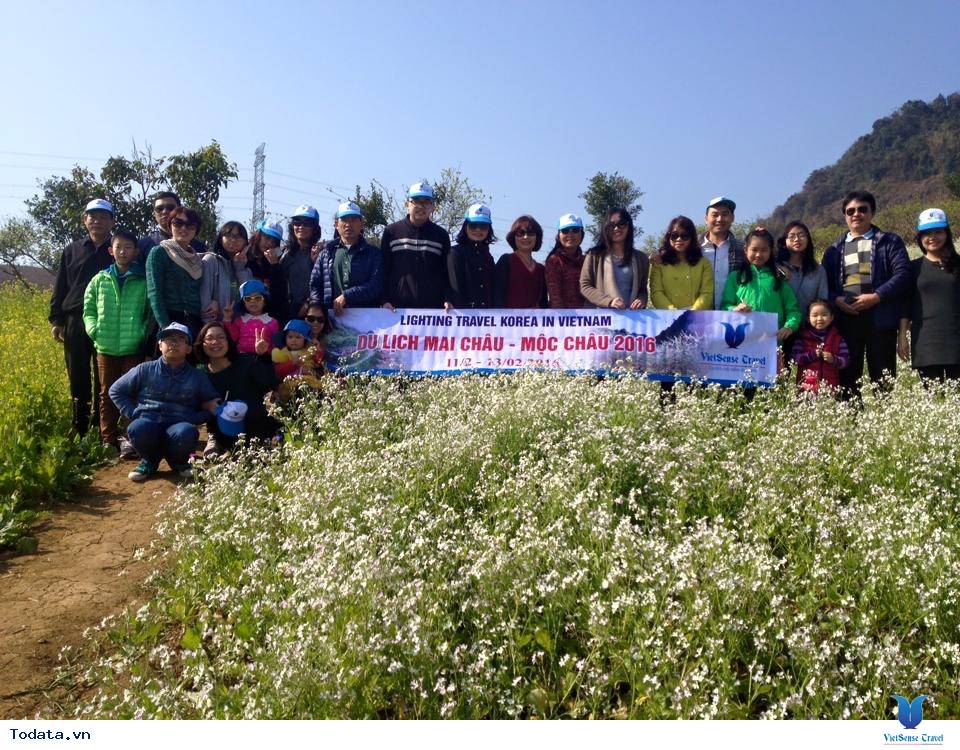 Lighting Travel Korea in Vietnam - Ảnh 1