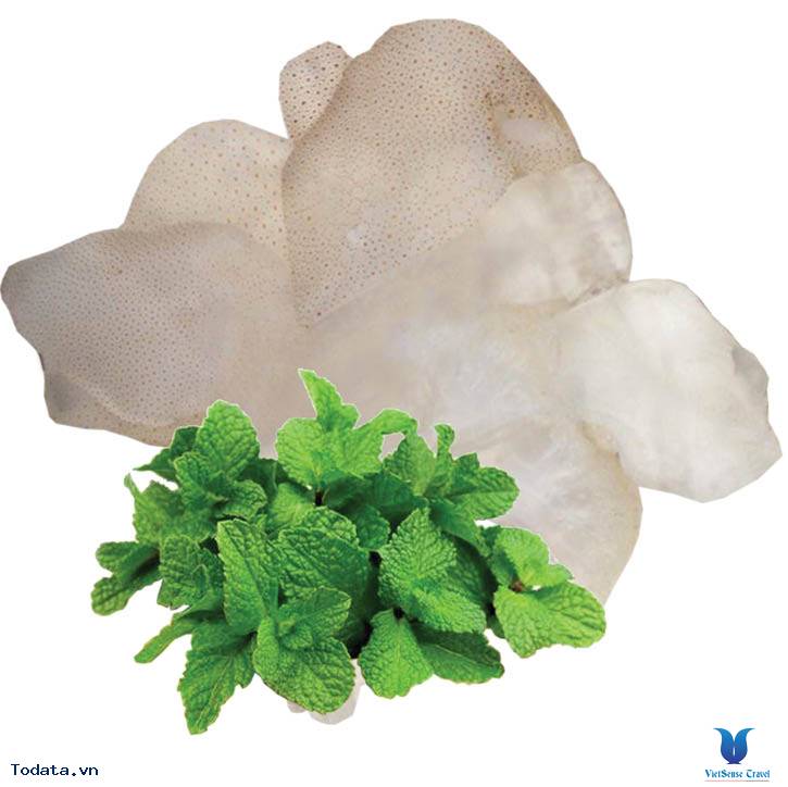 Mặn mòi sứa biển - Ảnh 1