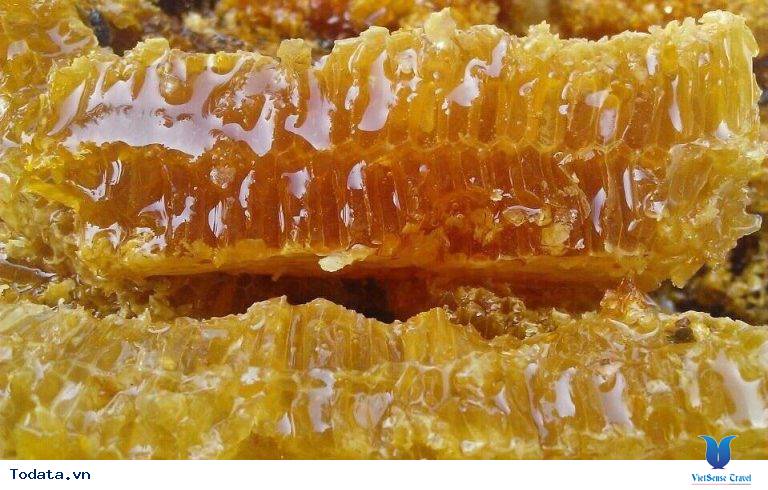 Mật Ong Rừng Tây Bắc- Món Quà Của Núi Rừng - Ảnh 4