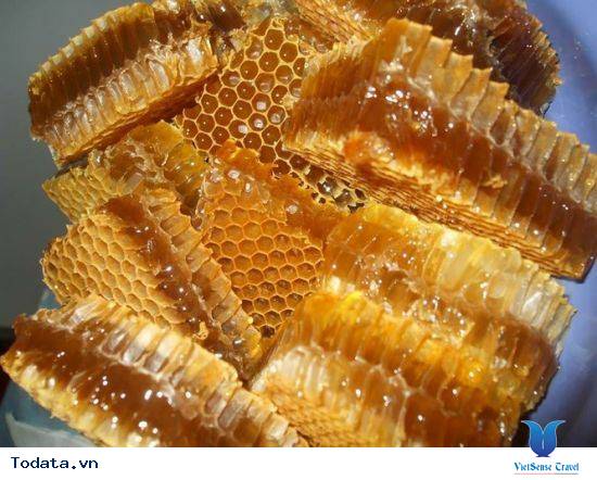 Mật Ong Rừng Tây Bắc- Món Quà Của Núi Rừng - Ảnh 7