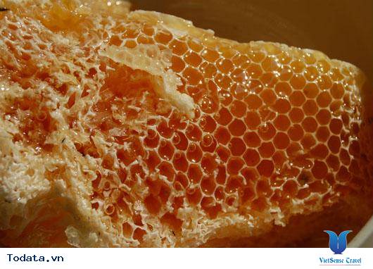 Mật Ong Rừng Tây Bắc- Món Quà Của Núi Rừng - Ảnh 2