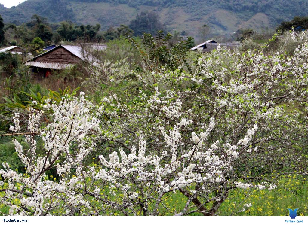 Mây Vờn Trên Cổng trời Mường Lống - Ảnh 2 Mây Vờn Trên Cổng trời Mường Lống - Ảnh 2