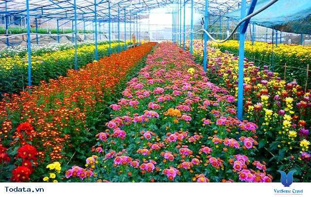 Món Ngon - Điểm Đẹp Đừng Bỏ Lỡ Khi Đến Đà Lạt - Ảnh 5