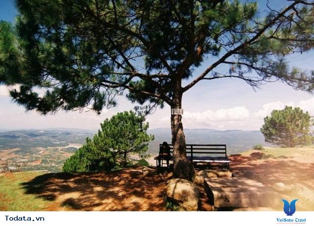 Món Ngon - Điểm Đẹp Đừng Bỏ Lỡ Khi Đến Đà Lạt - Ảnh 2