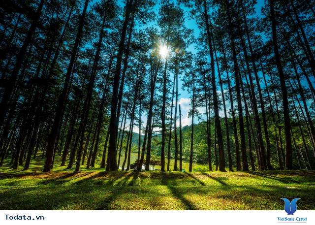 Món Ngon - Điểm Đẹp Đừng Bỏ Lỡ Khi Đến Đà Lạt - Ảnh 1