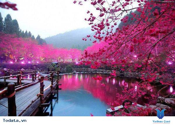 Mộng mơ khúc tình ca bốn mùa trên đảo Nami - Ảnh 3