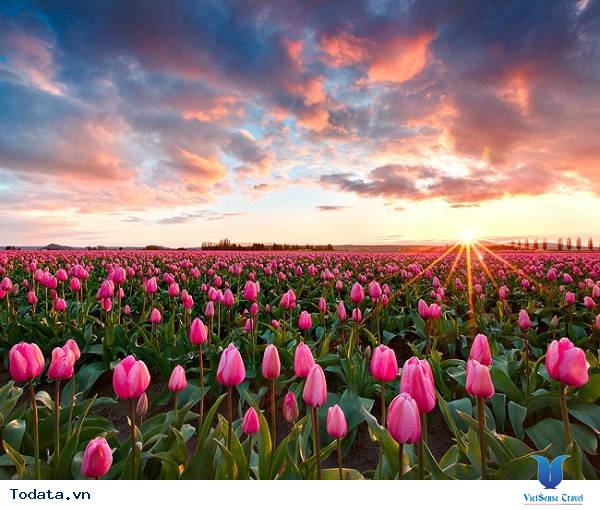 Mộng mơ khúc tình ca bốn mùa trên đảo Nami - Ảnh 6