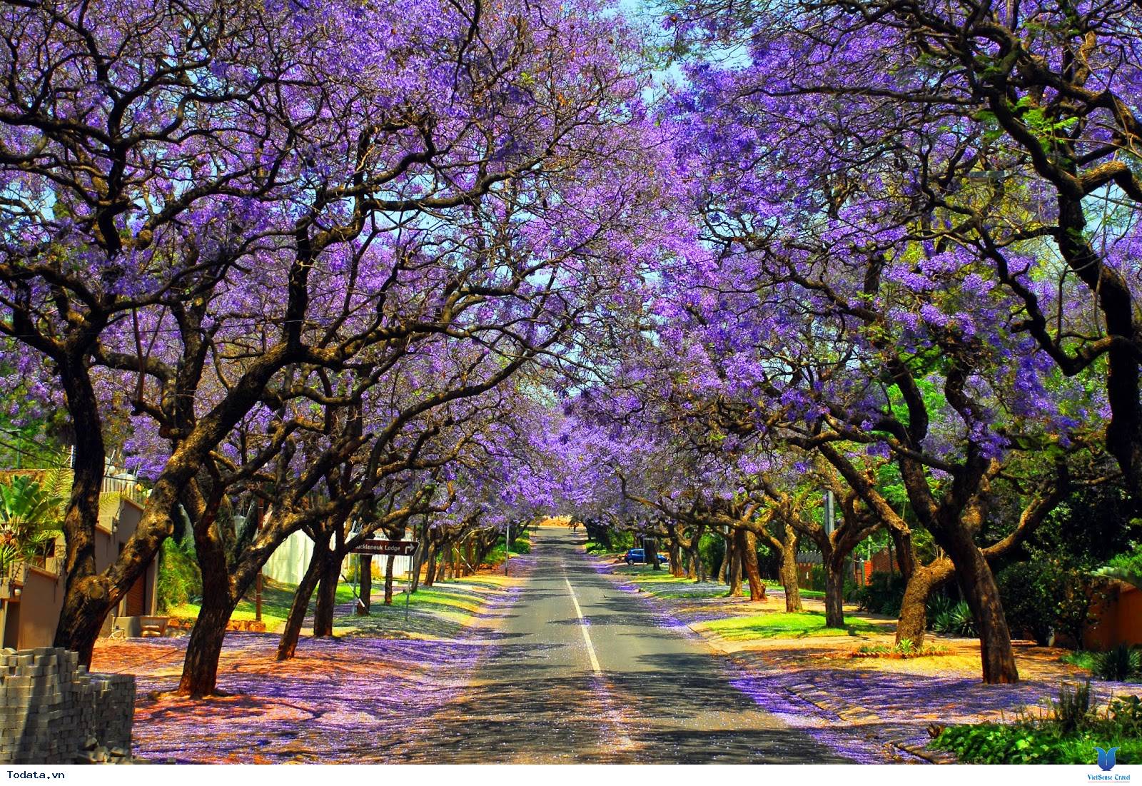 Mùa nào đẹp để đi du lịch Nam Phi - Ảnh 3