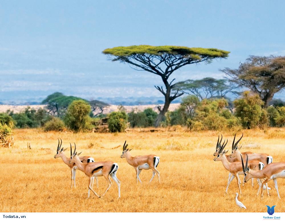 Mùa nào đẹp để đi du lịch Nam Phi - Ảnh 1