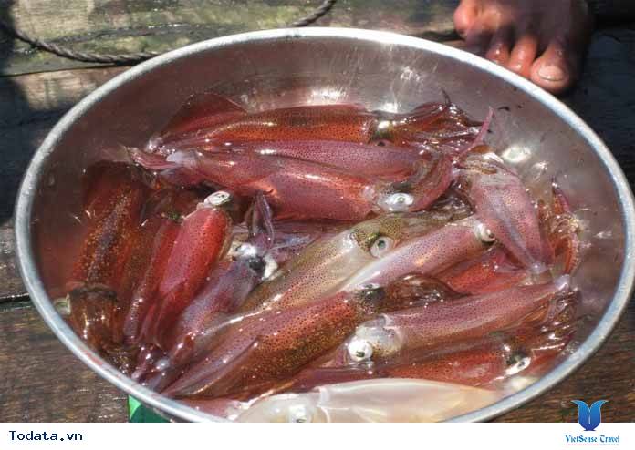 Mực Nhảy, Đặc Sản Mang  Đậm Dấu  Ấn Cửa Lò - Ảnh 1