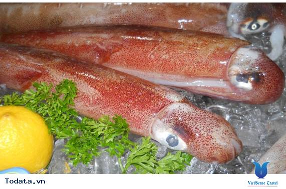 Mực Nhảy, Đặc Sản Mang  Đậm Dấu  Ấn Cửa Lò - Ảnh 3