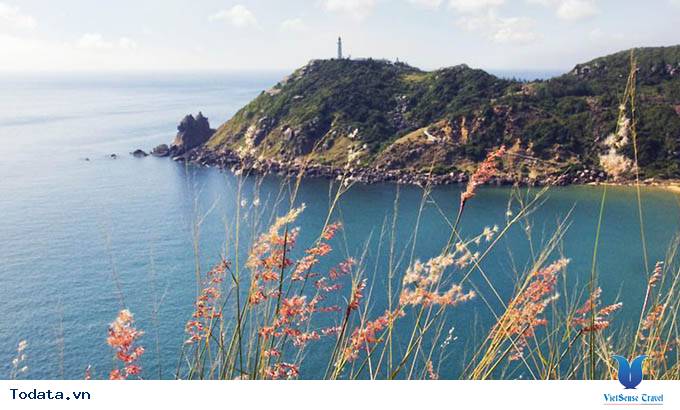 Mũi Điện-  Điểm Đến Gây Ghiền Cho Du Khách Khi Đến Phú Yên - Ảnh 8