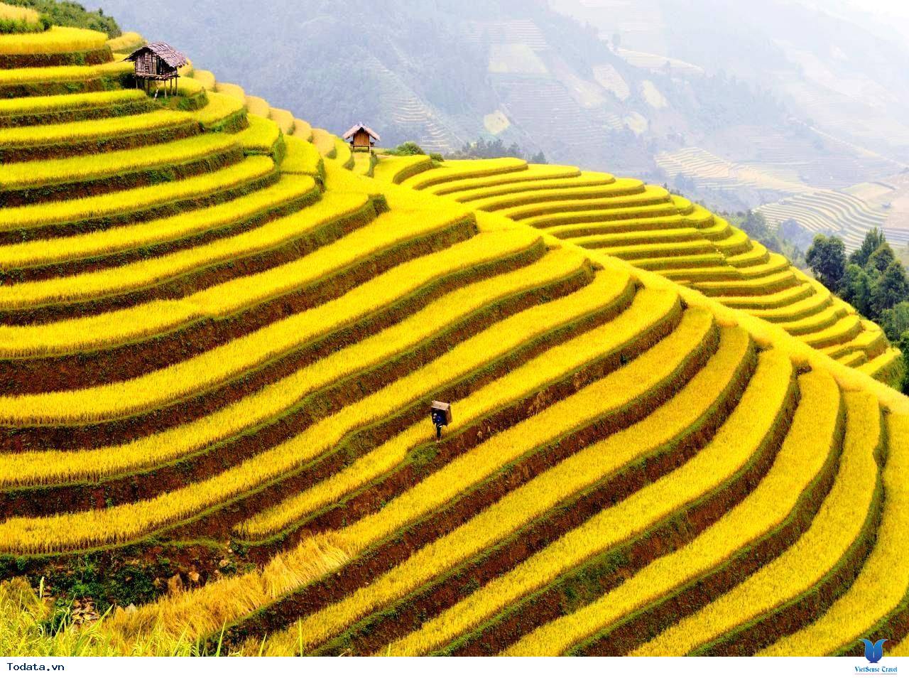 Mường Hoa Thung Lũng Thanh Bình - Ảnh 2 Mường Hoa Thung Lũng Thanh Bình - Ảnh 2