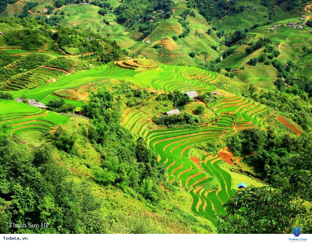 Mường Hoa Thung Lũng Thanh Bình - Ảnh 6 Mường Hoa Thung Lũng Thanh Bình - Ảnh 6