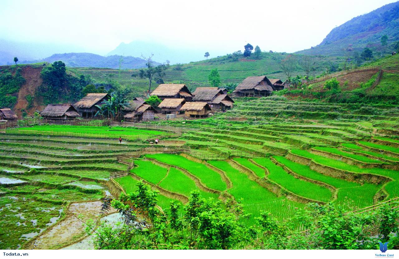 Mường Hoa Thung Lũng Thanh Bình - Ảnh 10 Mường Hoa Thung Lũng Thanh Bình - Ảnh 10