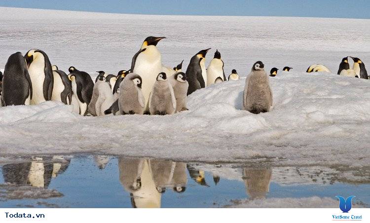 Nam Phi- Johannesburg– Pretoria– Sun City– Cape Town Khởi Hành Từ Hà Nội - Ảnh 4