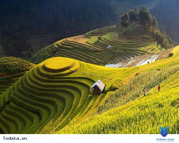 Nắng Thu Trên Cánh Đồng Mù Cang Chải - Ảnh 1 Nắng Thu Trên Cánh Đồng Mù Cang Chải - Ảnh 1