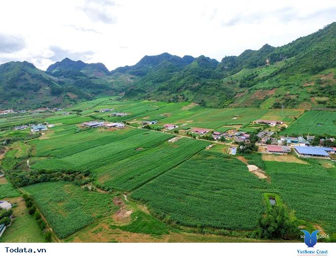 Ngắm Cao Nguyên Mộc Châu Tuyệt Đẹp Từ Lễ Hội Khinh Khí Cầu - Ảnh 5