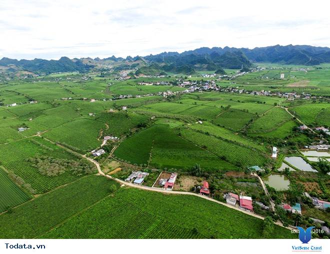 Ngắm Cao Nguyên Mộc Châu Tuyệt Đẹp Từ Lễ Hội Khinh Khí Cầu - Ảnh 6