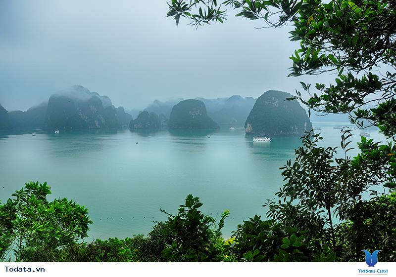 Ngắm Hạ Long từ đỉnh Titop - Ảnh 1