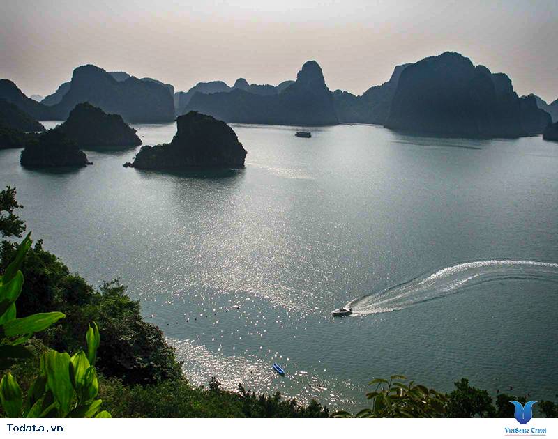 Ngắm Hạ Long từ đỉnh Titop - Ảnh 2