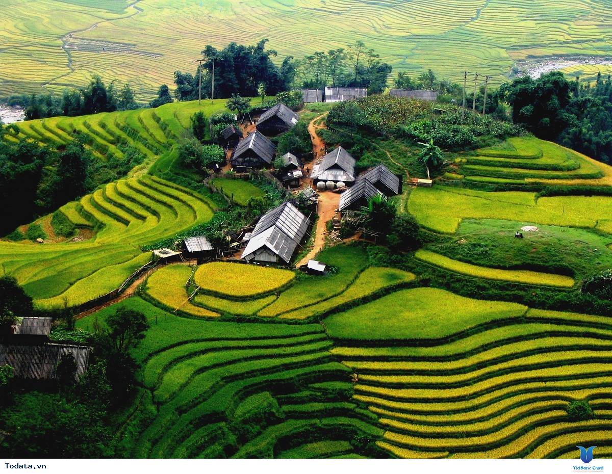 Ngắm ruộng bậc thang xanh mướt Tegalalang - Ảnh 1 Ngắm ruộng bậc thang xanh mướt Tegalalang - Ảnh 1