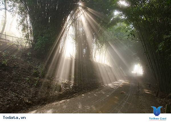 Nghiêng nghiêng nắng sớm Sa Pa - Ảnh 8 Nghiêng nghiêng nắng sớm Sa Pa - Ảnh 8