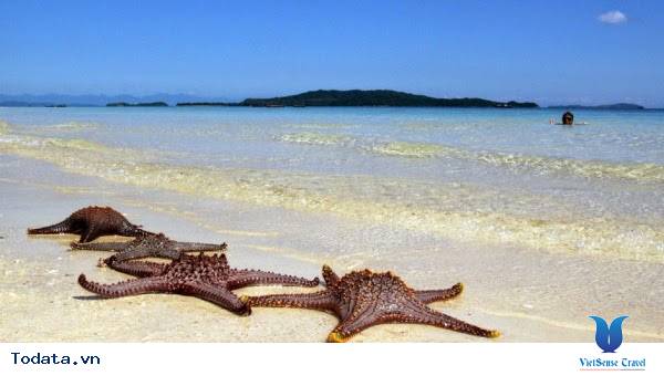 Ngỡ Ngàng Thiên Đường Có Thật Ở Cô Tô Con - Ảnh 5 Ngỡ Ngàng Thiên Đường Có Thật Ở Cô Tô Con - Ảnh 5